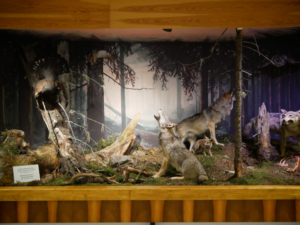 nova_diorama_muzeum tanap