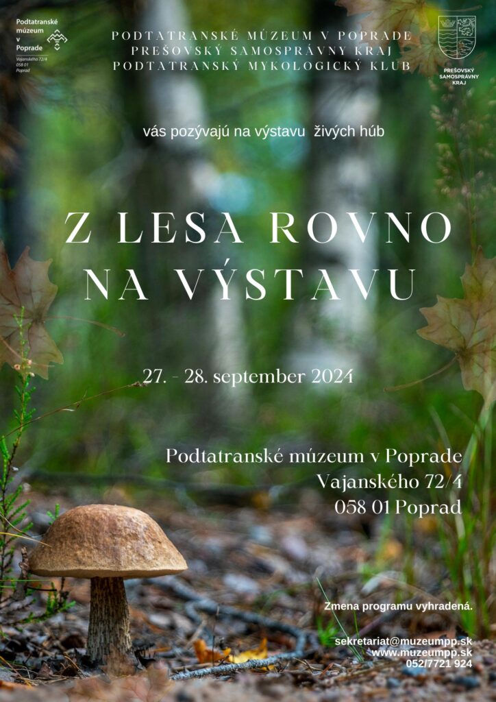 Z_lasu_prosto_na_wystawę